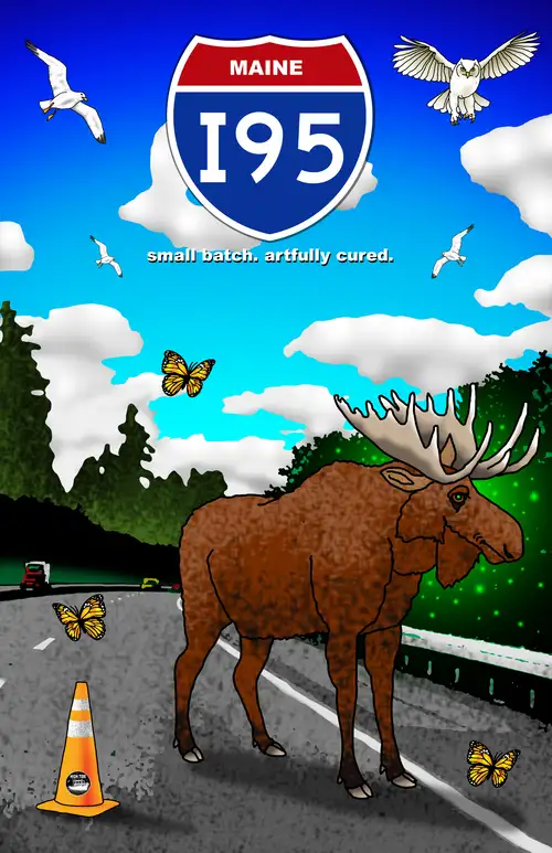 Maine I-95. A moose stands behind a traffic cone on a highway through a wooded area.